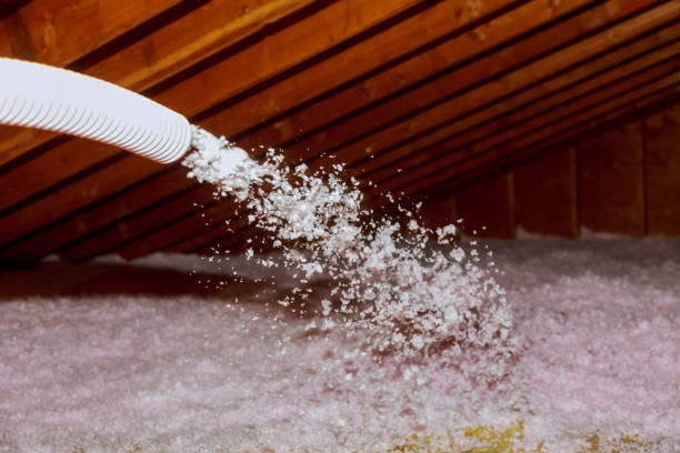 Best Insulation Installation Services in Springville, IA