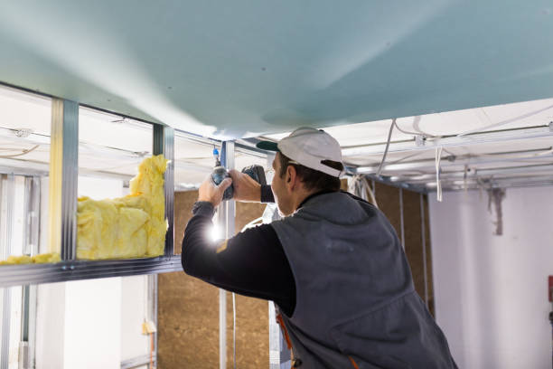 Best Commercial Insulation in Springville, IA