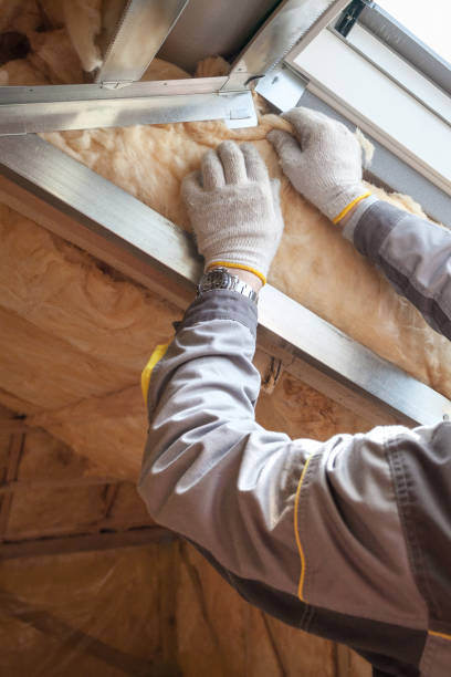 Best Insulation Maintenance and Repair in Springville, IA